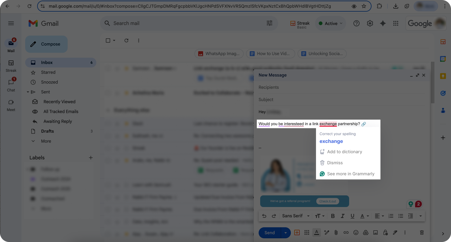A screenshot of Grammarly highlighting misspelled words