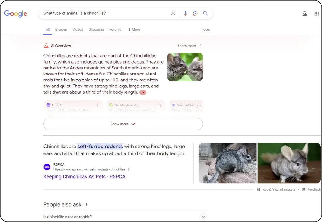 An AI Overview about what type of animal is a chinchilla