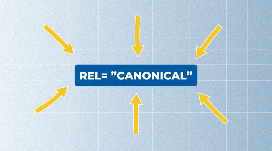 Canonical issues guide