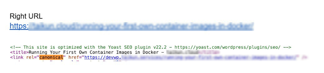 Canonical Issues: Our Expert Tips + 3 Real Case Studies