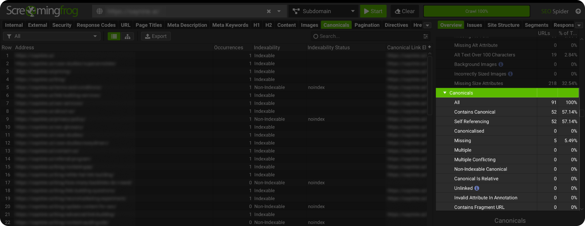Canonical Issues: Our Expert Tips + 3 Real Case Studies
