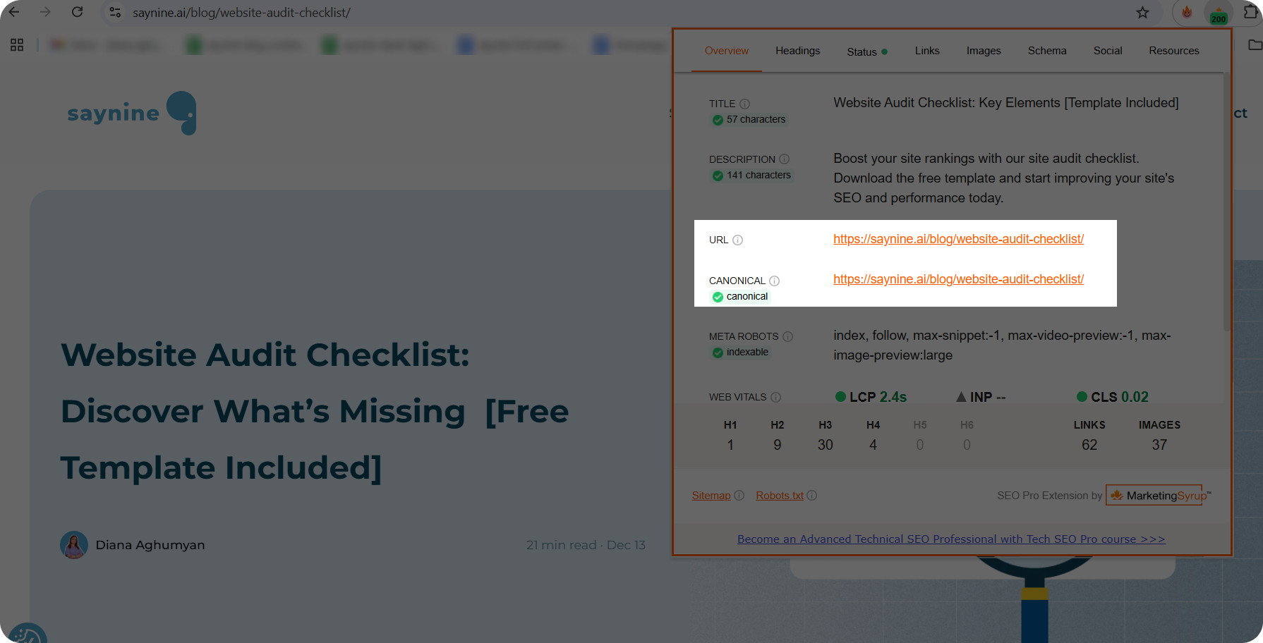 Canonical Issues: Our Expert Tips + 3 Real Case Studies