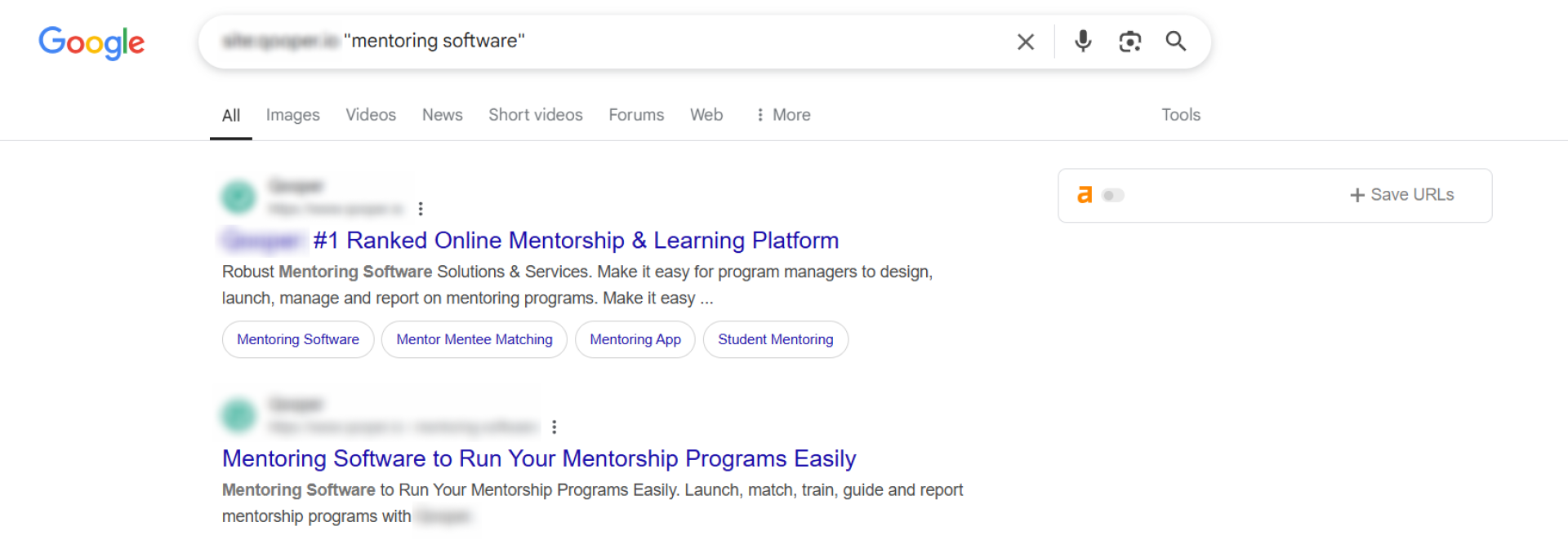 Google search results for "mentoring software" keyword