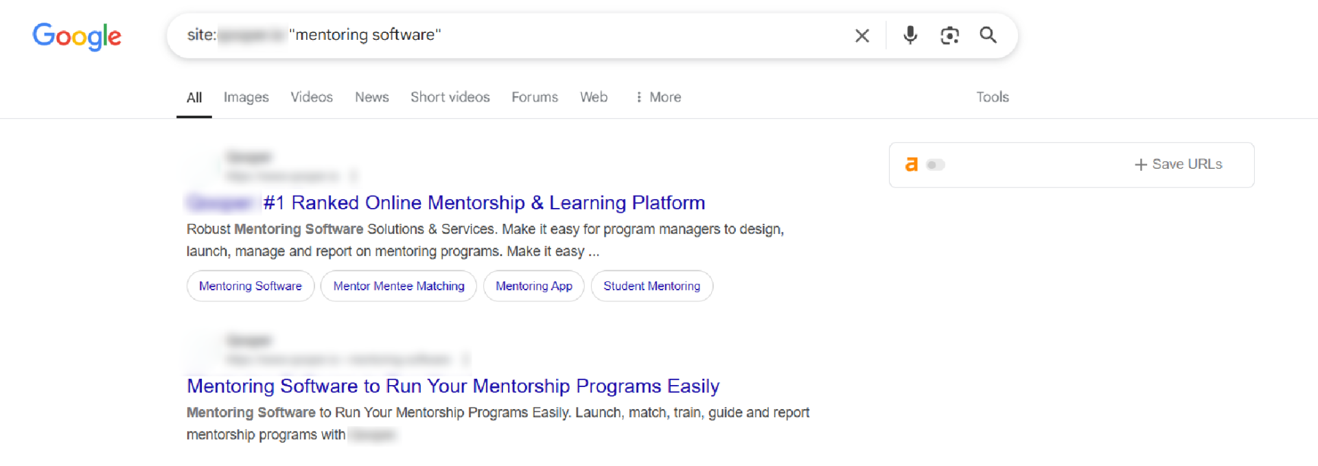 Google search results for "mentoring software" keyword