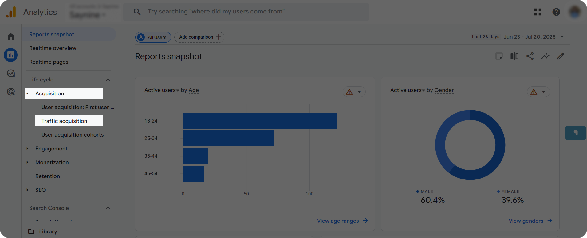 Traffic acquisition in Google Analytics dashboard.