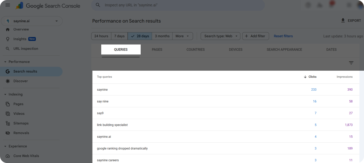 Queries in Google Search Console.