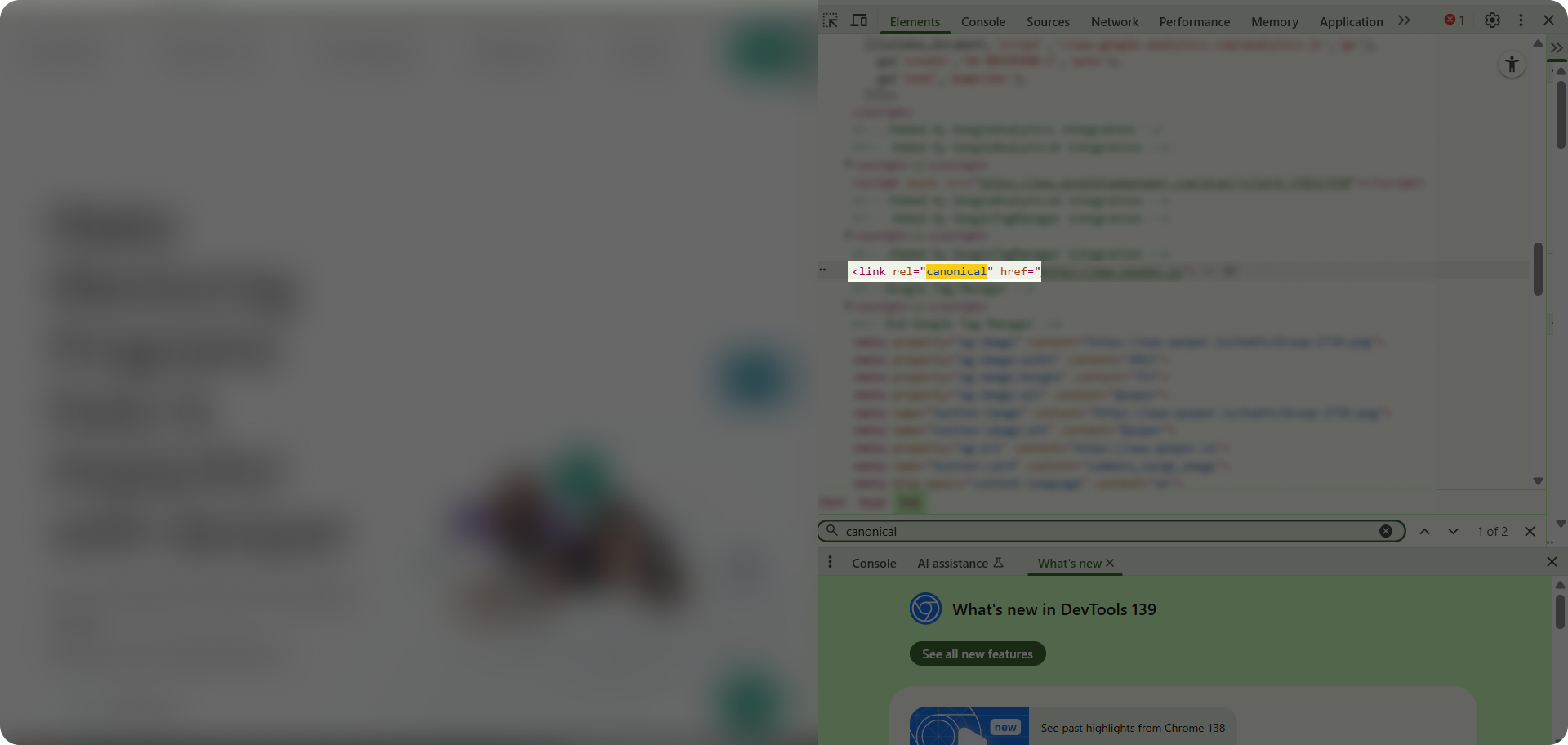 A screenshot of a canonical tag in the HTML code.