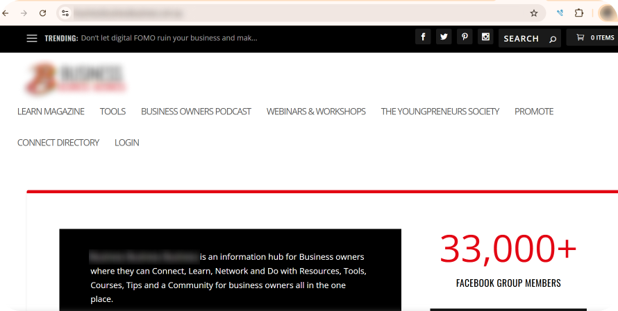 pbn website example