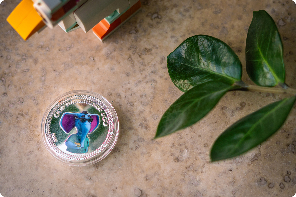 A coin of trust - Ninty