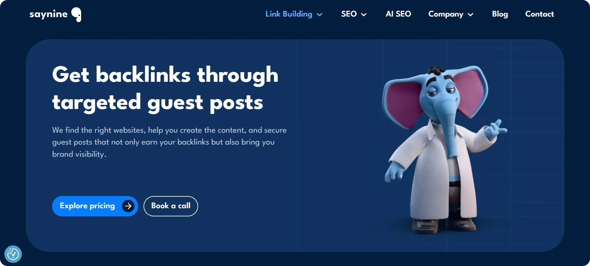 SayNine's niche guest posting page