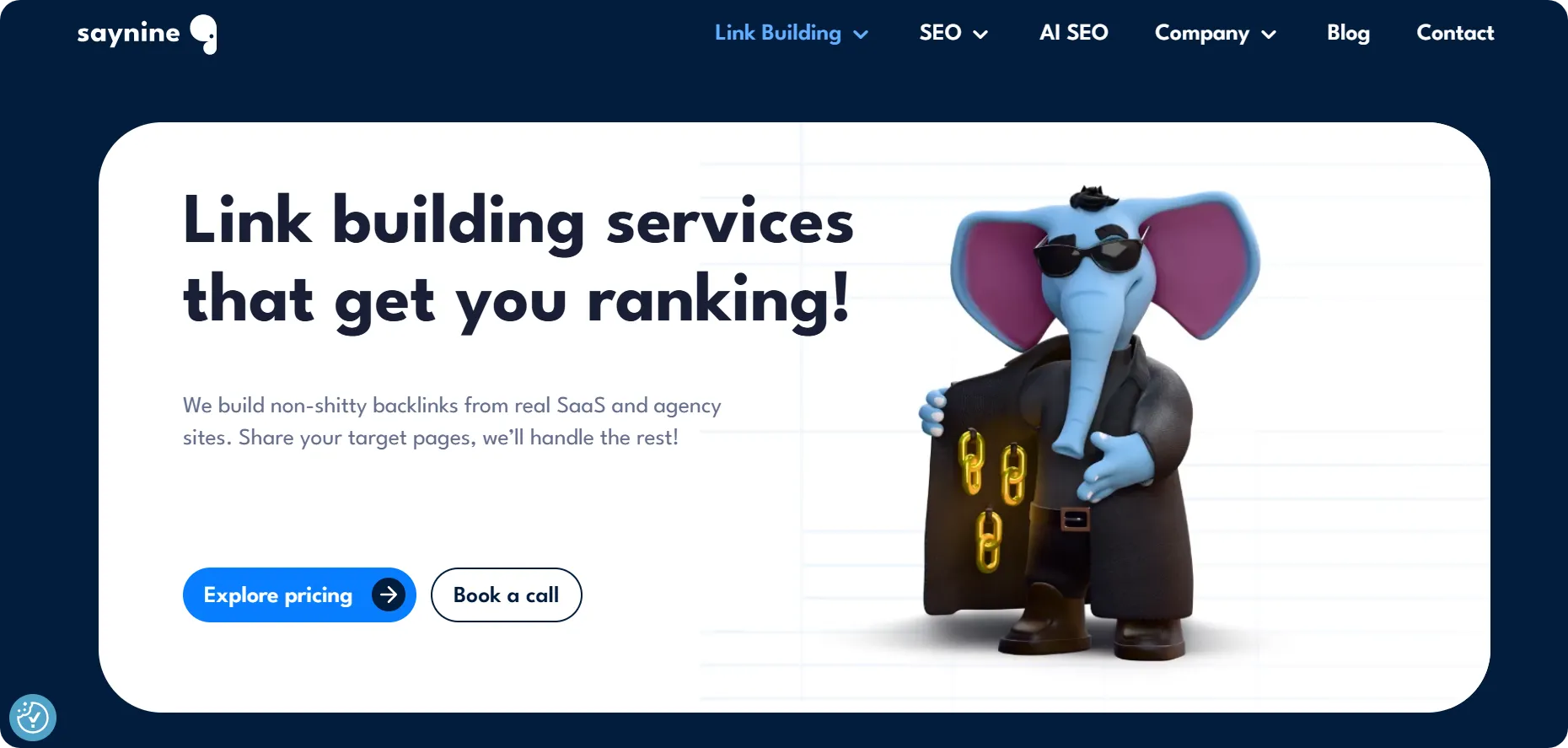 SayNine's link building services page