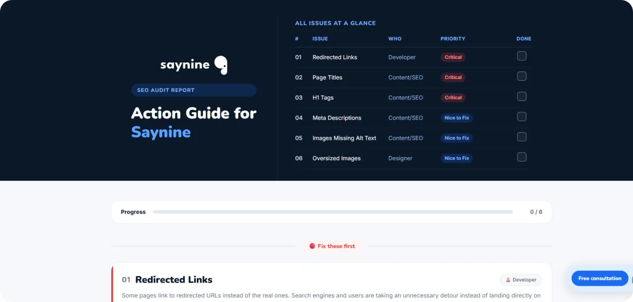 SayNine's free seo audit tool output example