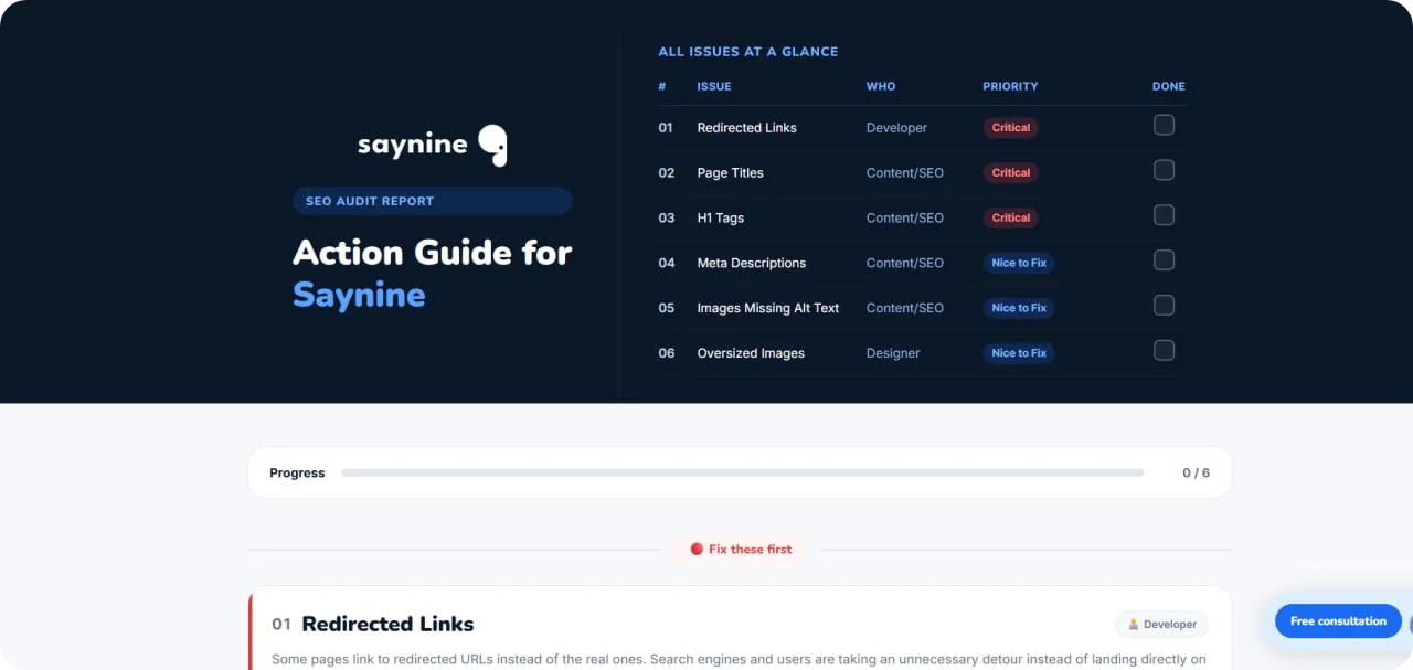 Action guide based on SayNine's SEO audit tool report