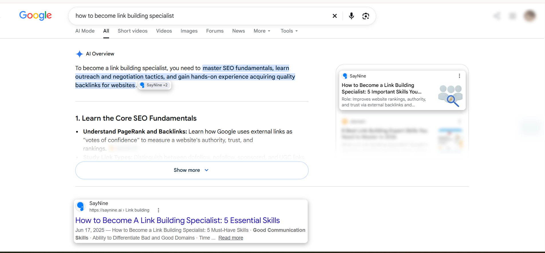 Screenshot of AI Overview page